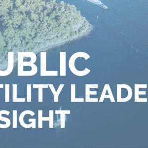 Water Resilience and its Role in a Thriving and Sustainable Global City