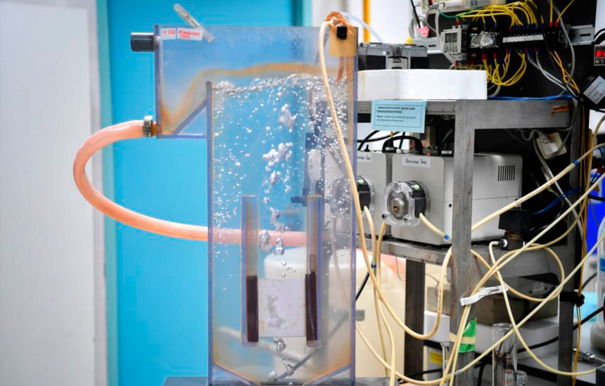 Mangrove-inspired membranes for desalination among new tech being tested by PUB Mangrove-inspired membranes for desalination among new tech being tested by PUB